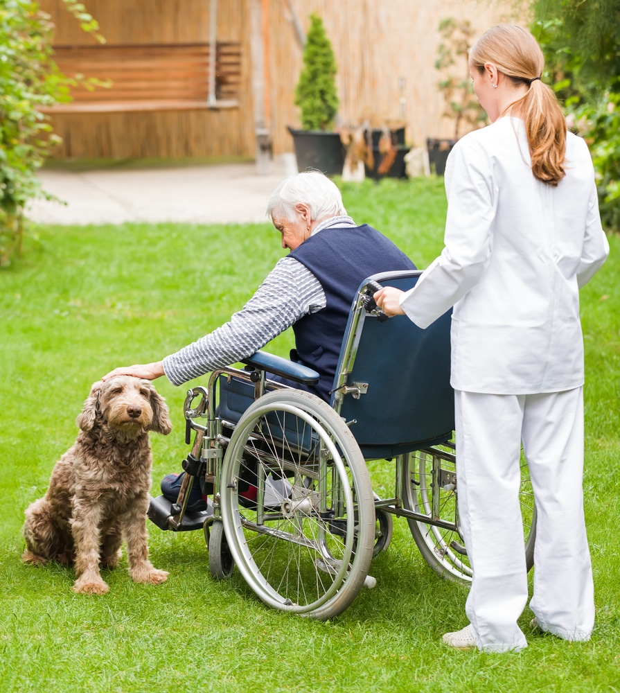 pets visiting in hospice care