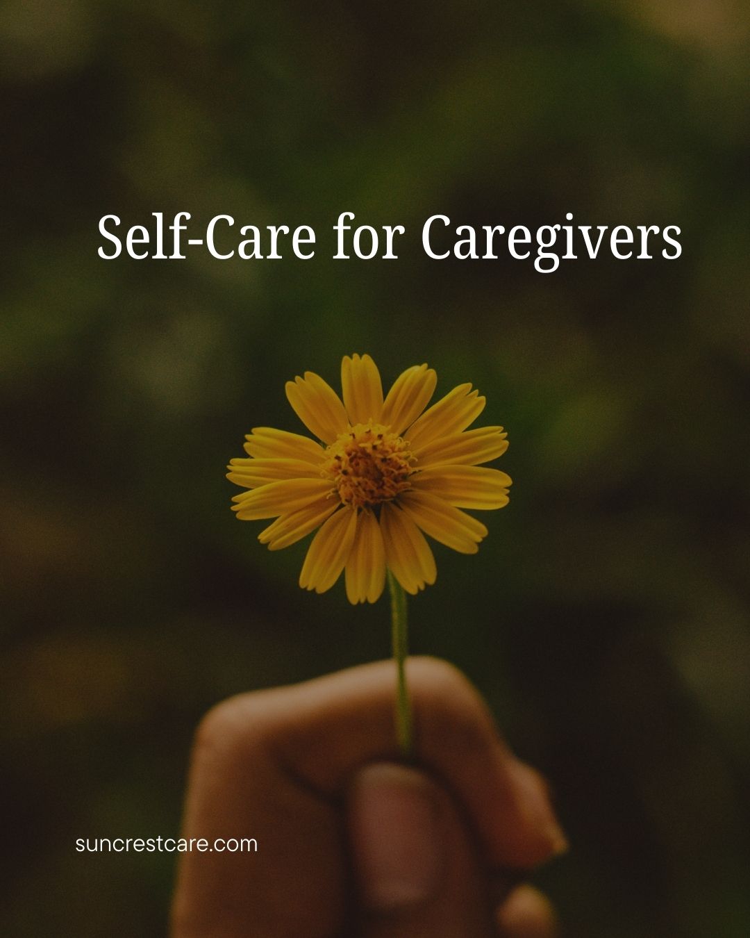 Hospice Patient And Caregiver Education In Chicago | Suncrest Hospice