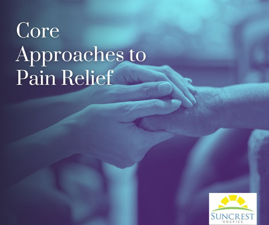 Chart showing core approaches to pain relief used in hospice care